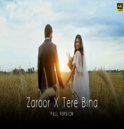 Zaroor X Tere Bina